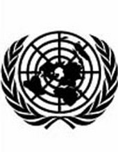 Organisation des Nations Unies